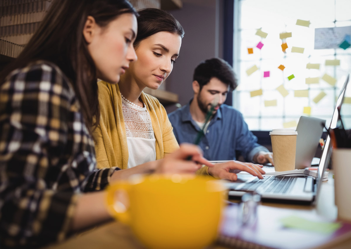 Web Development Slide 1